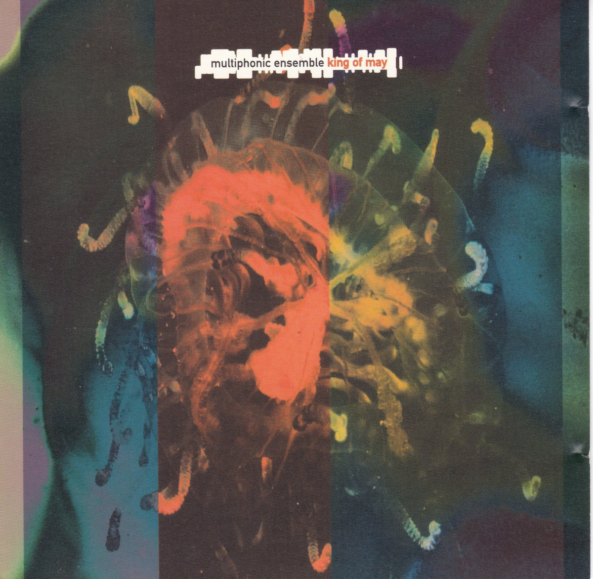 King of May album art