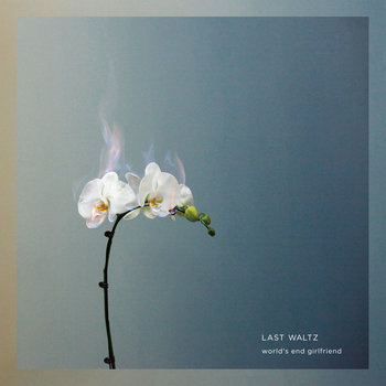 LAST WALTZ album artwork