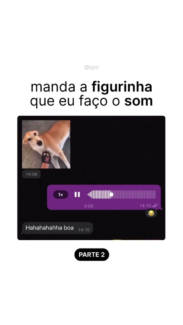 Trend da figurinha parte 2 😂 @IGOR  #humor #figurinhas #fyp